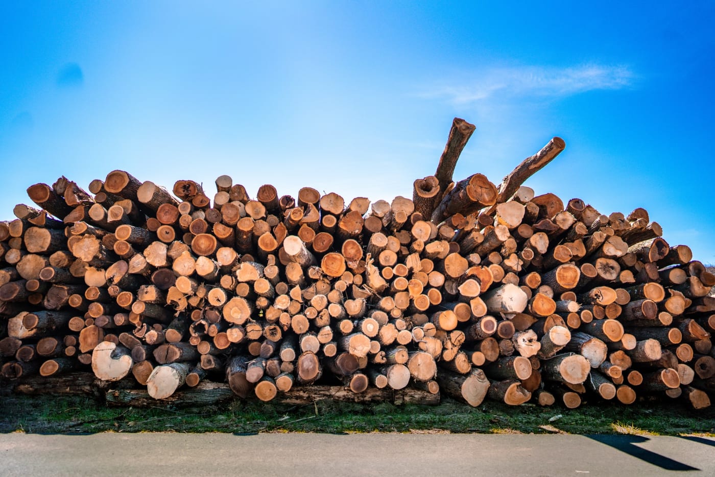 A large pile of lumber/firewood.